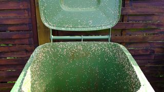 Maggots inside garbage bin