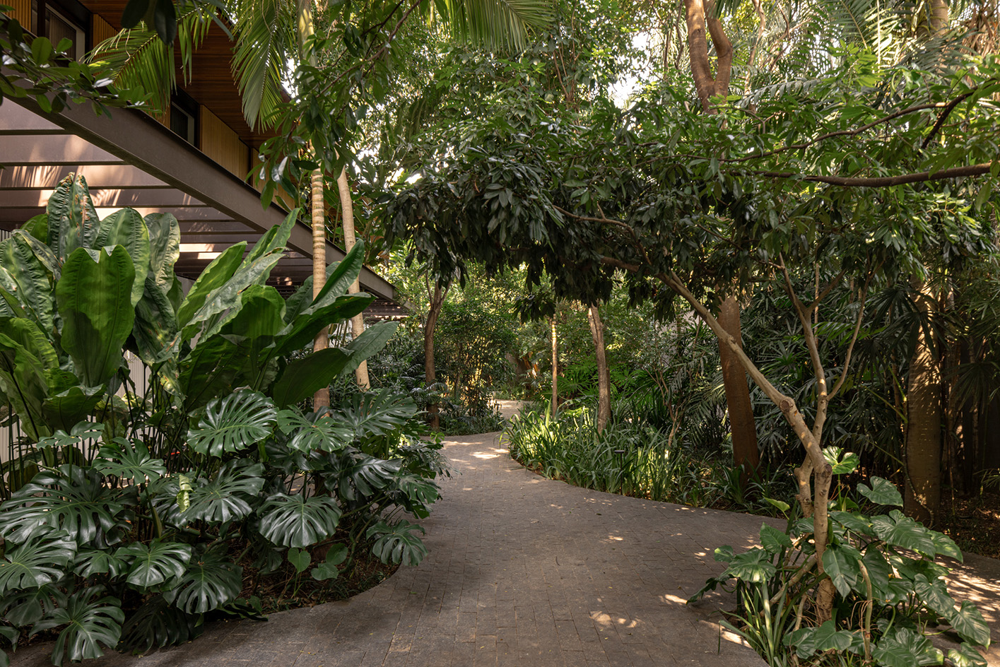 green work by work by Rodrigo Oliviera landscape architect against modern buildings