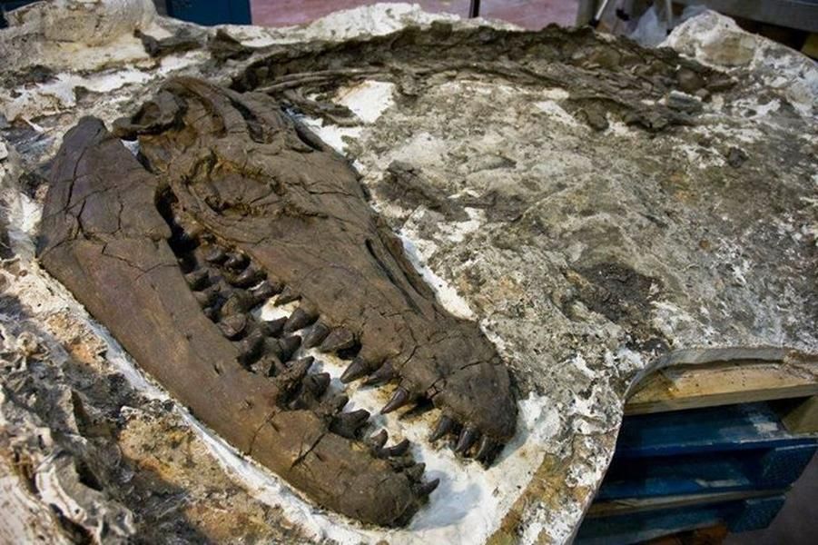 Dentro de la 'Capital Mundial de los Dinosaurios' | La semana