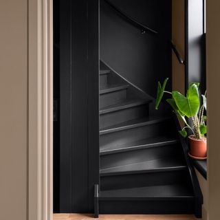 black stairs near hallway