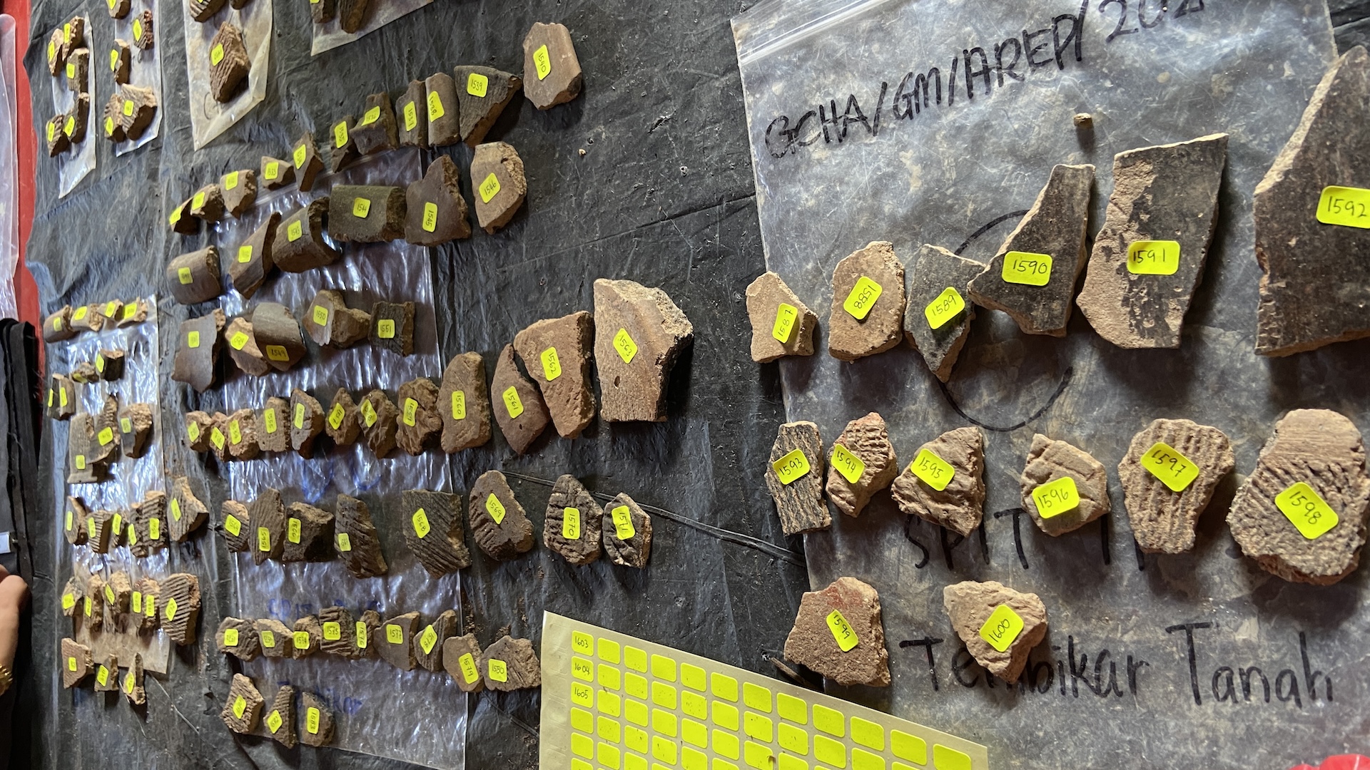 Dozens of labelled rocky fragments and artifacts laid out across a table