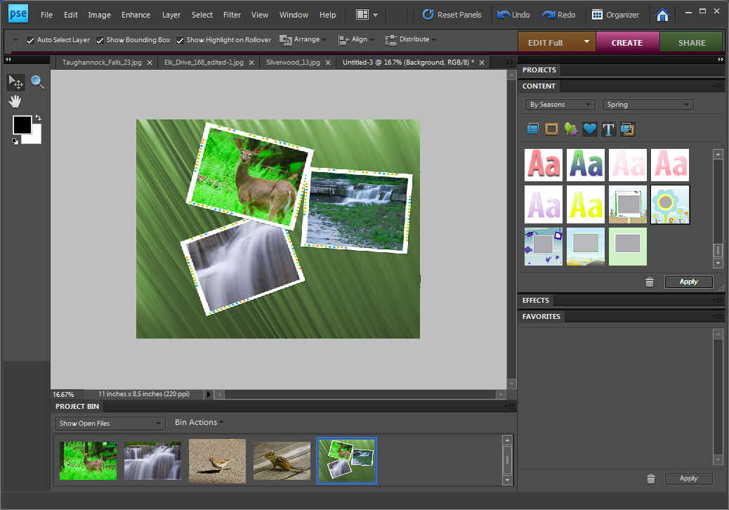 adobe photoshop element 8.0 download