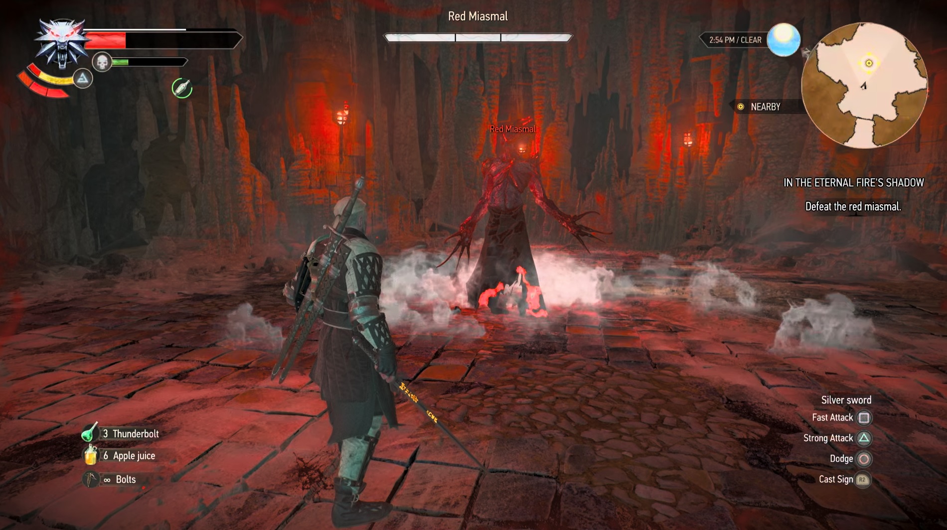 The witcher 3 reinald fight