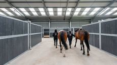 stable-4.jpg