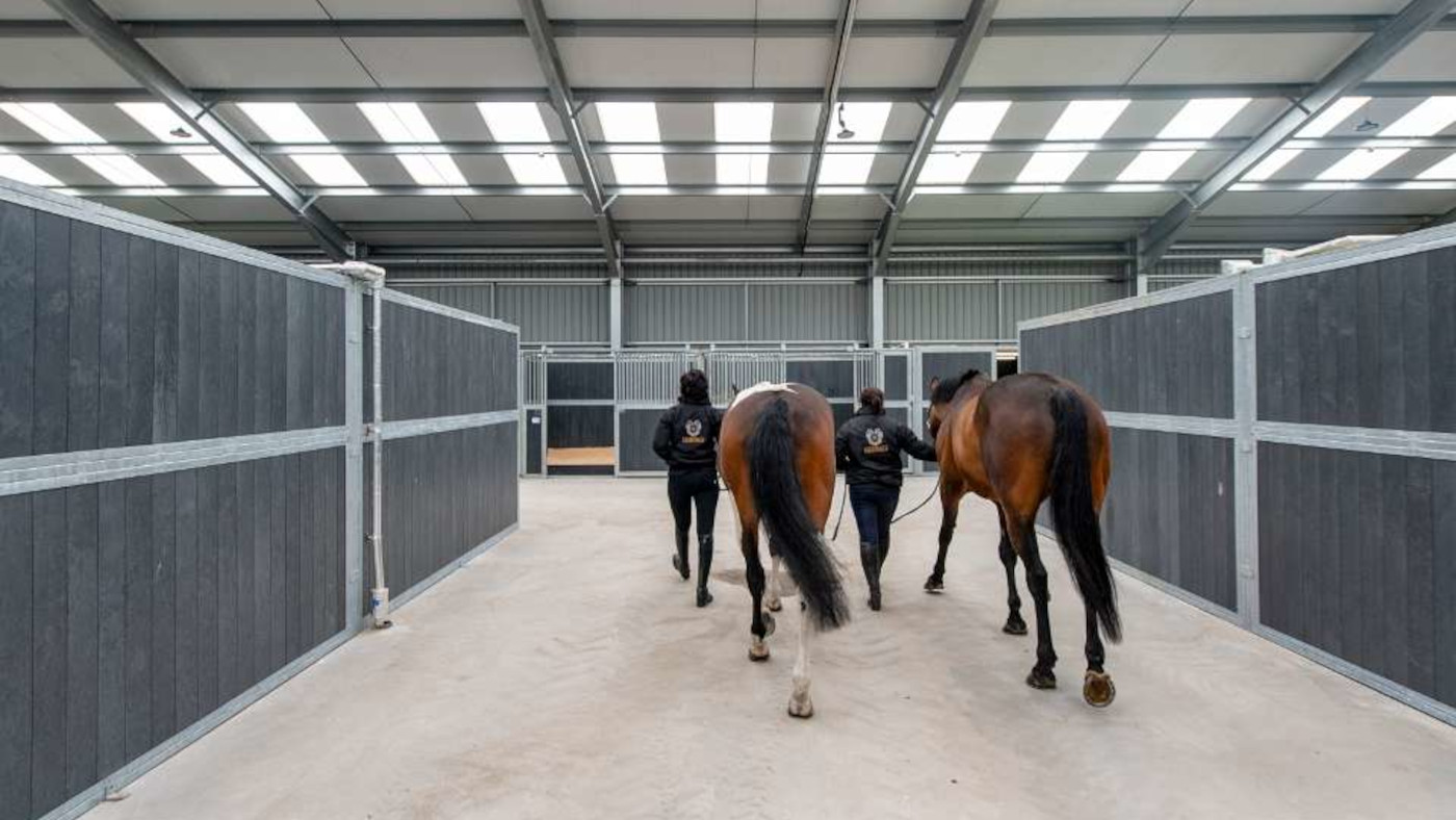 stable-4.jpg
