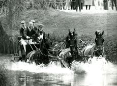 HARROD'S CARRIAGE DRIVING GRAND PRIX AT WINDSOR MAY 14TH 1983