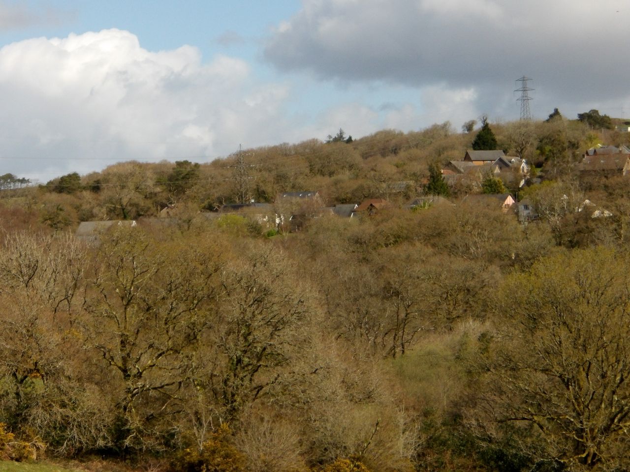 Images taken using the Pentax WG-1000 to demonstrate zoom capabilities.