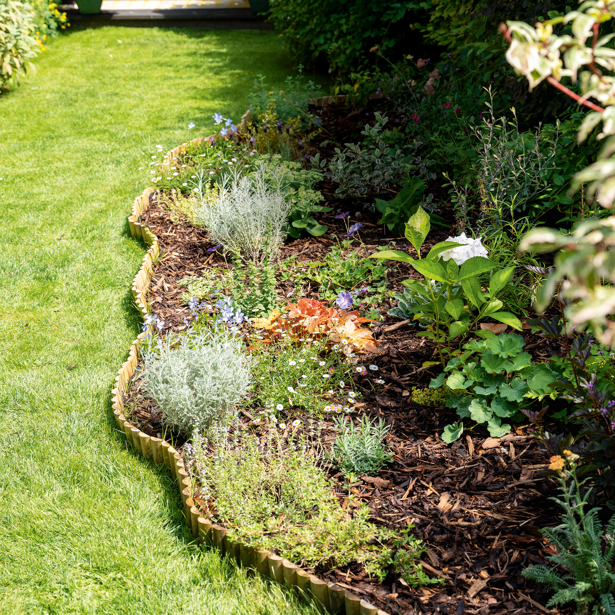 a close up of a garden border with a wooden wavy edges and mulched beds