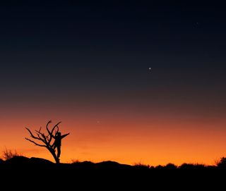 Three Planets in Conjunction by Lóránd Fényes