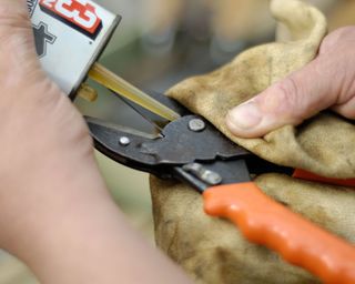 oiling a pair of pruning shears
