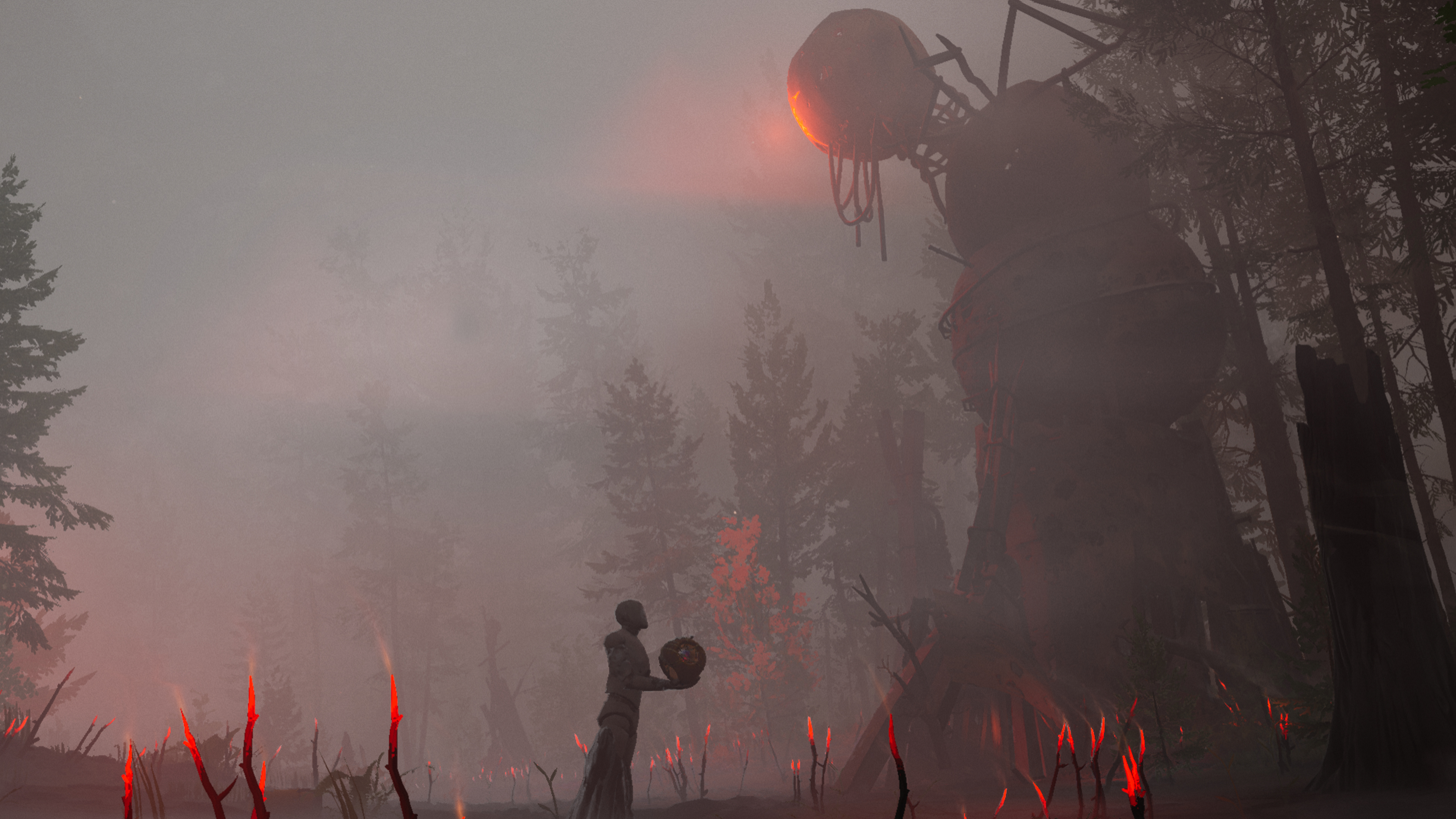 A card in the woods and it&#039;s spooky