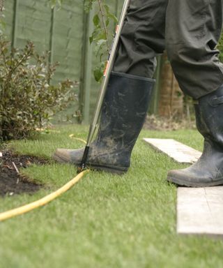 creating a curned lawn edge using a hose as a cutting guide