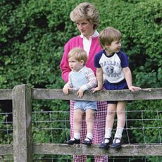 tetbury, united kingdom july 18 diana, princess of wales with her sons, william and harry in the grounds of highgrove in tetbry, gloucestershire photo by tim graham photo library via getty images
