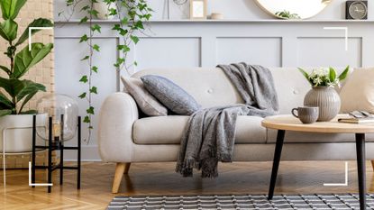 Grey living room with upholstered sofa on legs, plants and mirror to show key interior design ideas for how to make a small room look bigger on a budget