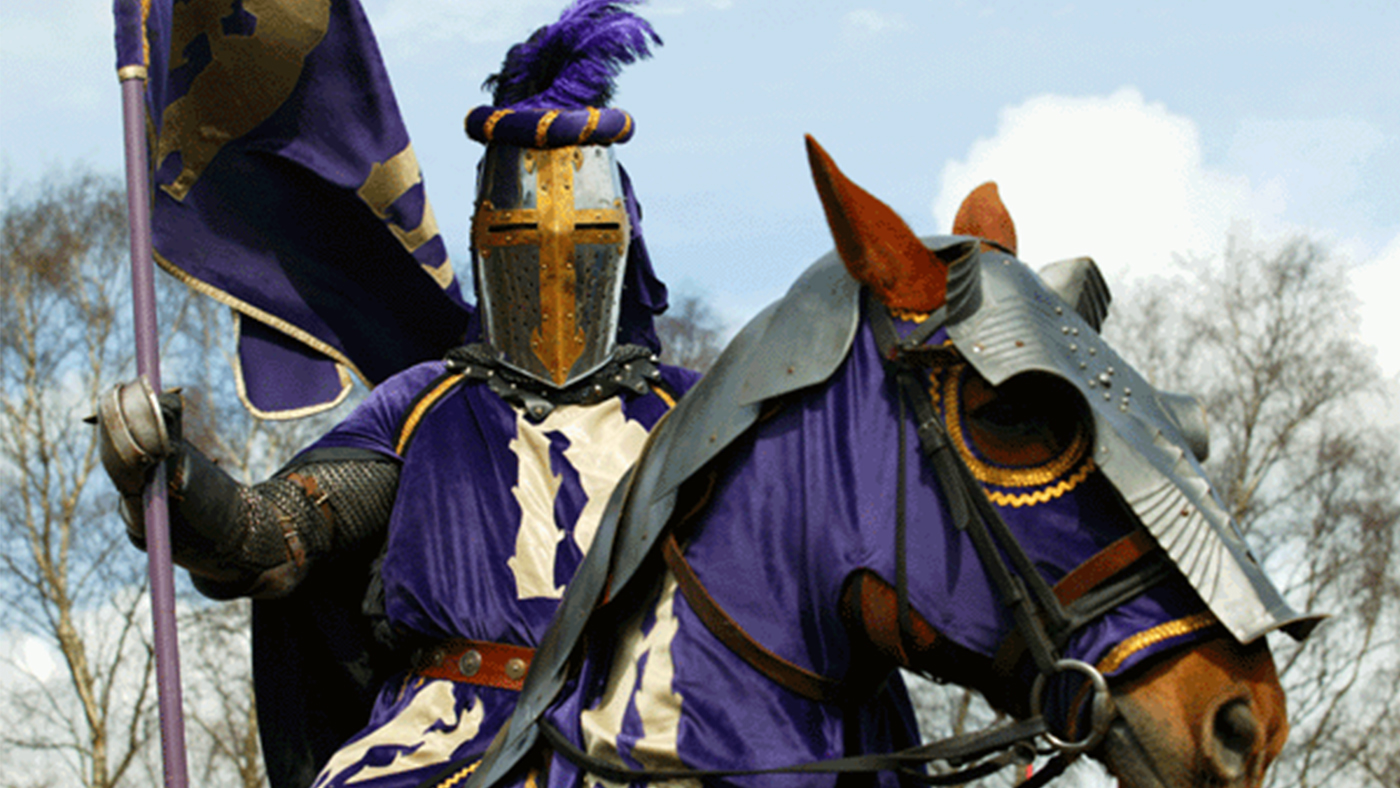 Horse experience days West Mids