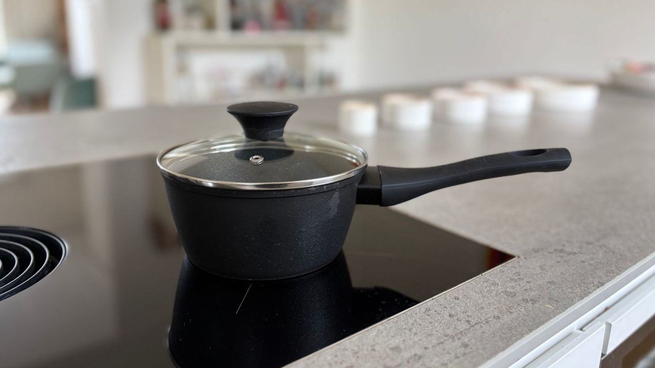 Salter Megastone Saucepan