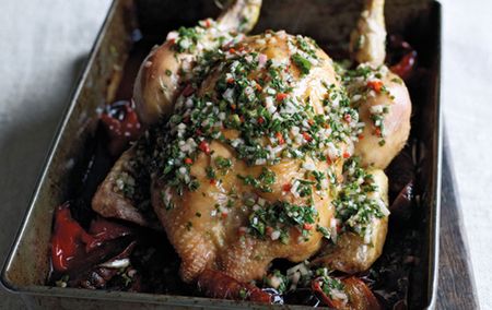 James Martin's chicken with red peppers, chorizo and chilli