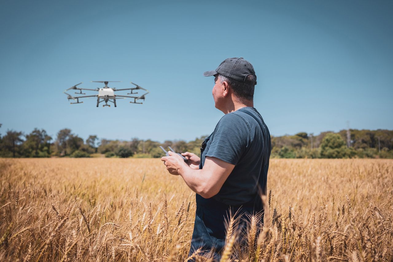 Male Drone Pilot Using Drone Remote Controller over cereal fields