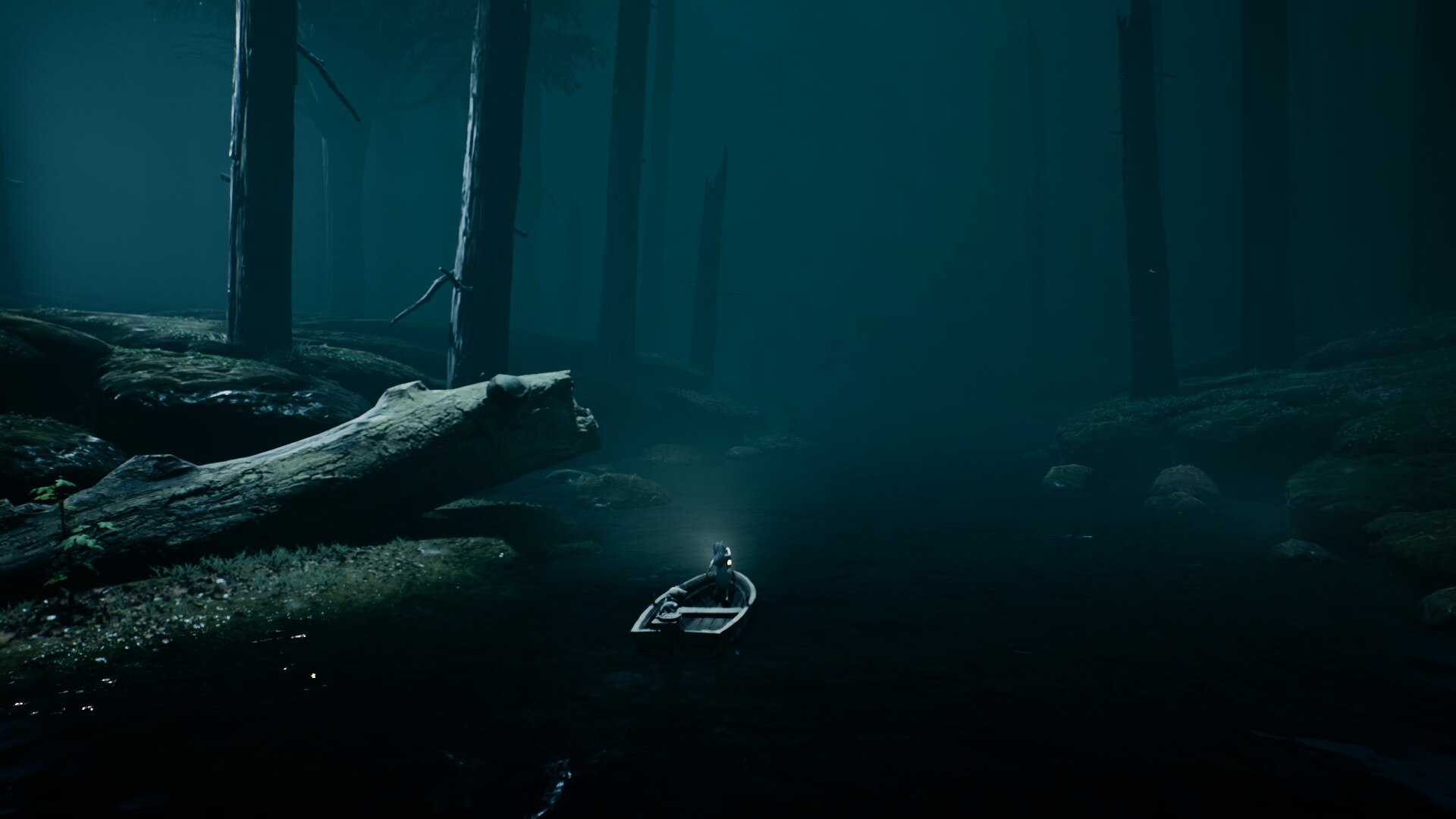 A boat travels a river in a forest