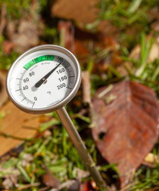 A soil thermometer measuring the temperature of compost