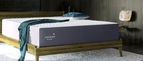 The Cocoon by Sealy Chill mattress placed on a wooden bed frame against a dark wall d across it