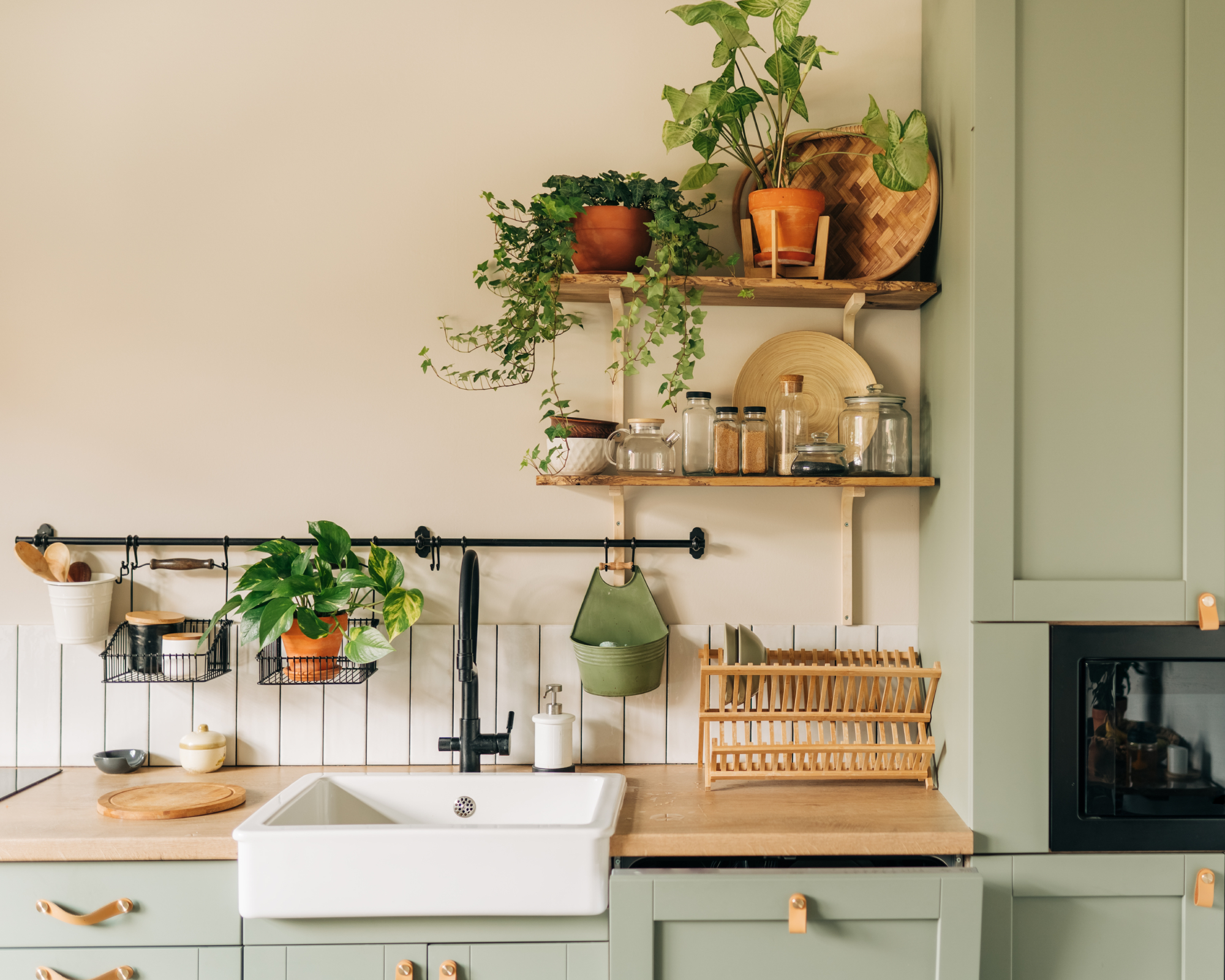 Sunny kitchen with houseplants