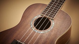 Close up for ukulele