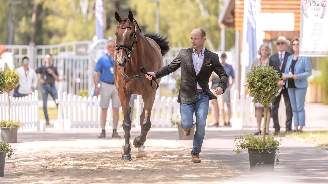 Luhm&amp;uuml;hlen Horse Trial first trot-up: Michael Jung and FischerWild Wave