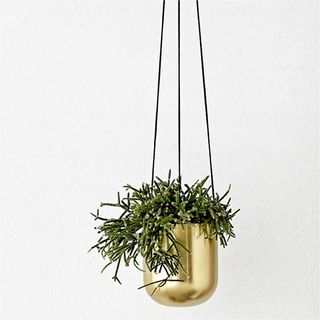 brass planter hanging with black cord