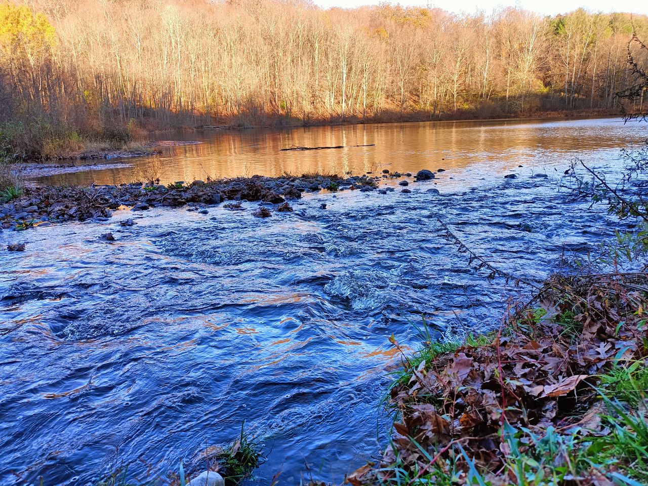 OnePlus Nord N300 5G camera image samples