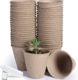 biodegradable seedling pots - pack of 50