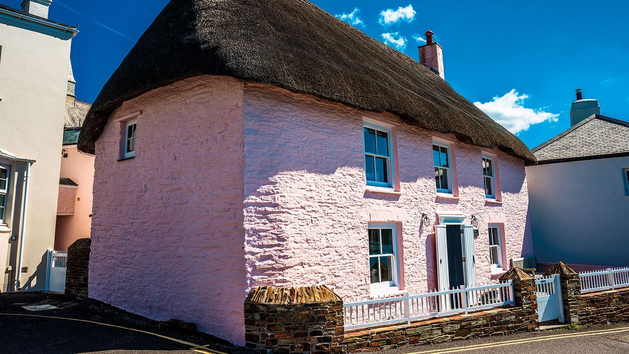 Thatched house 