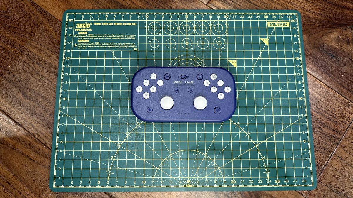 Which 8BitDo controller should you buy? Ultimate 2.4g, Lite SE, Pro 2 ...