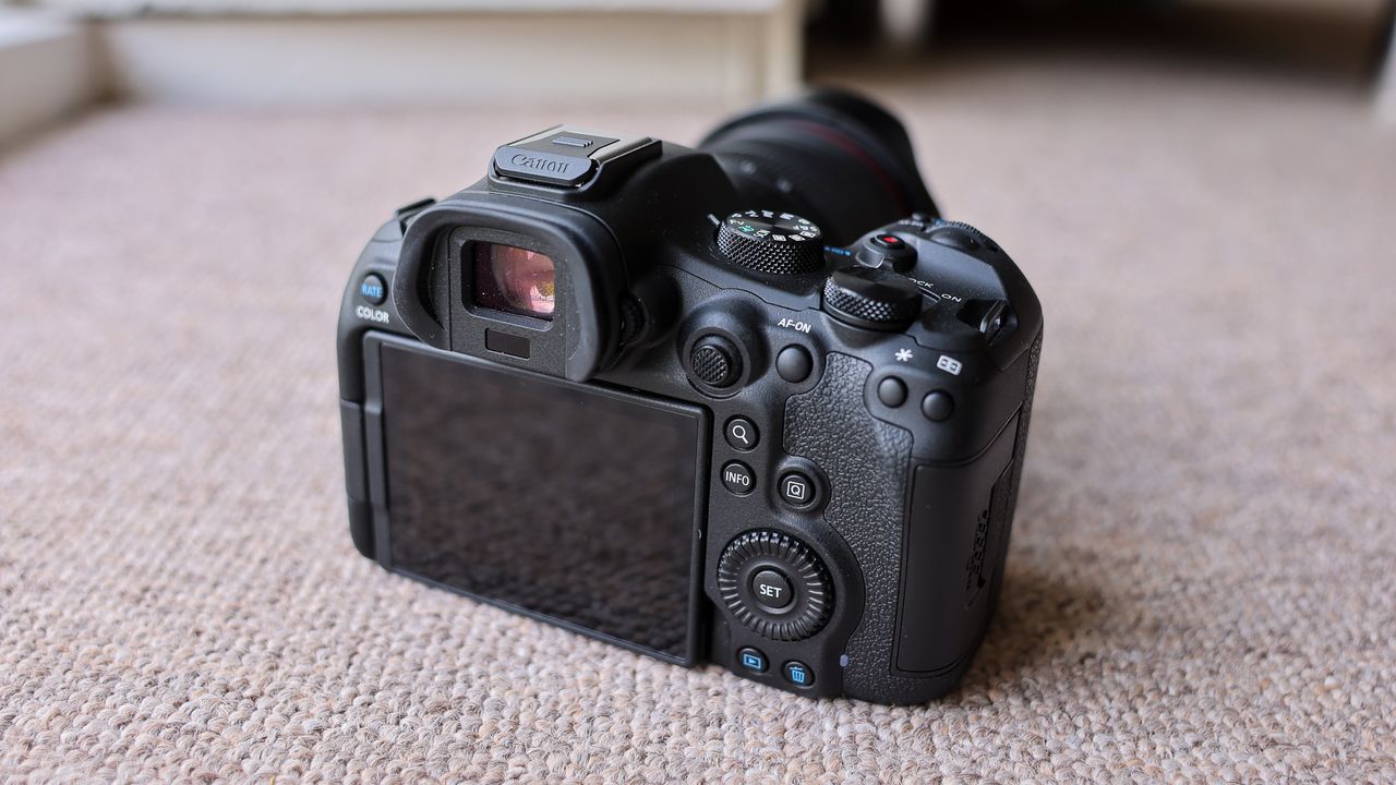 The back panel and screen of the Canon EOS R6 III.