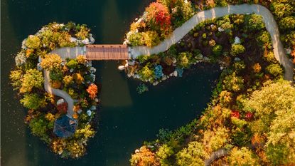 Meijer Japanese Garden from above. Amazing fall color with a twisting path that goes out onto a pond