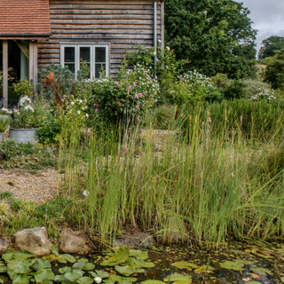 garden area with pond and grass with flower plants