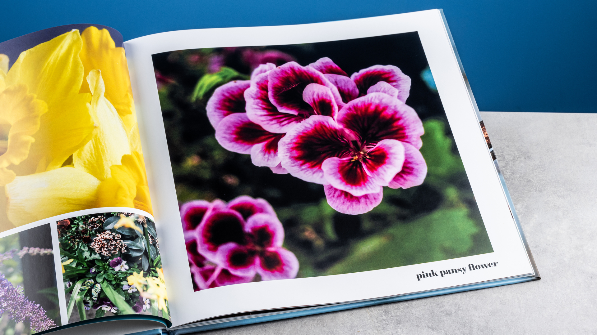 Vistaprint photo book pages photographed on a table in front of a blue background