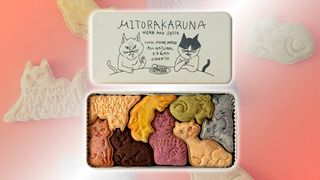 An image of a tin of cookies in the shape of cats