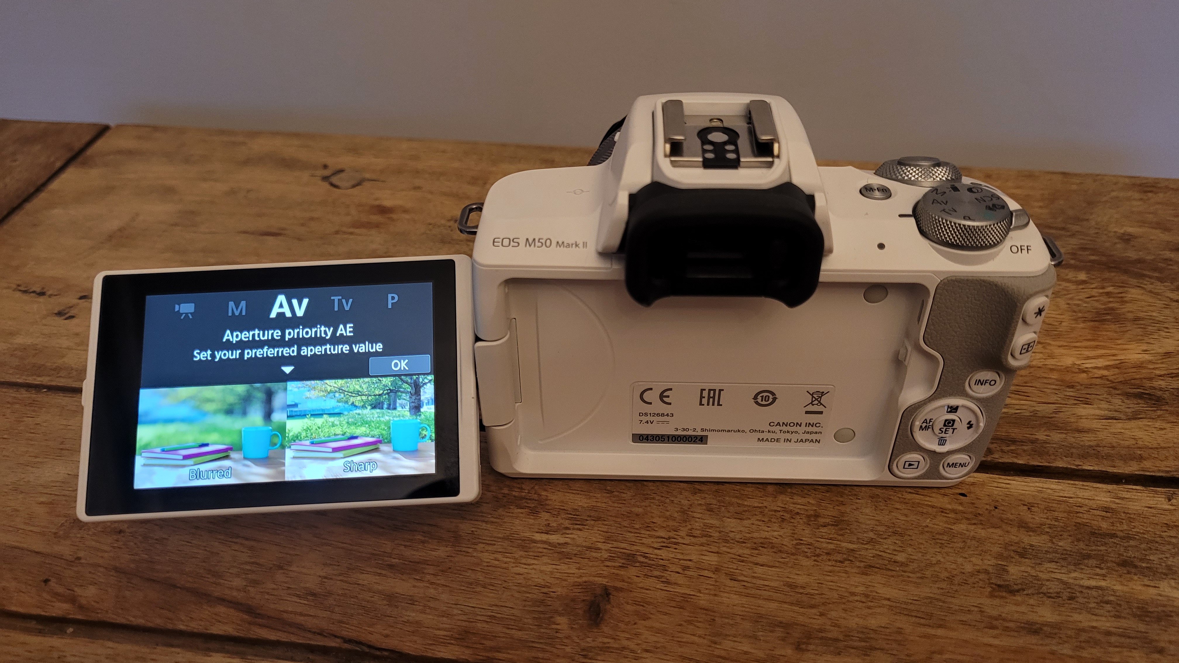 Image shows an EOS M50 Mark II with the screen flipped out showing the guide mode