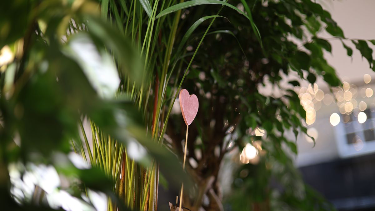Canon RF 45mm f/1.2