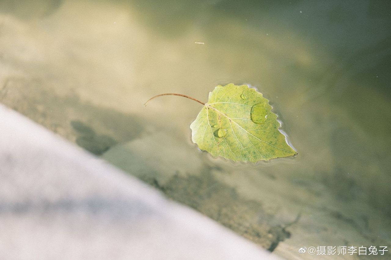 Viltrox 75mm f/1.2 PRO AF XF