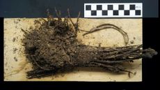 A bouquet of flowers found in a tunnel under a Teotihuacan pyramid survived a bonfire about 2,000 years ago.
