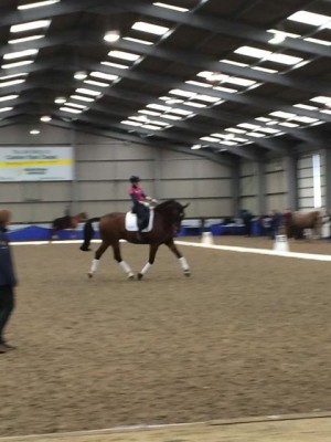 Schooling with Maria