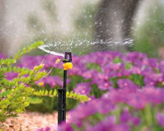 rotor sprinkler spraying water over plants in a garden
