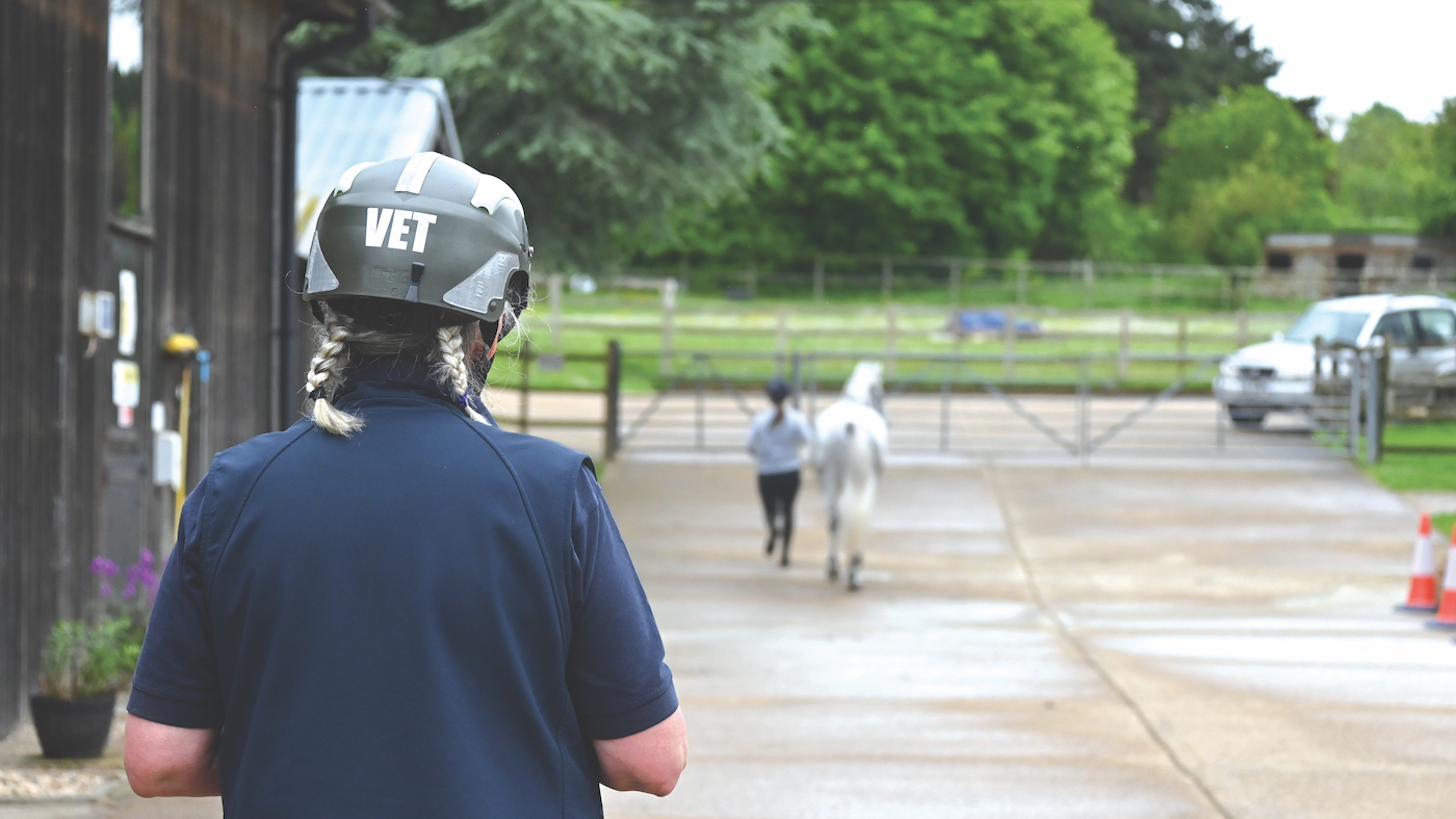 A vet wearing a hat watching a horse being trotted up.