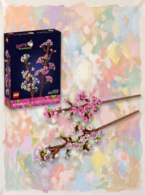 Cherry Blossoms 40725