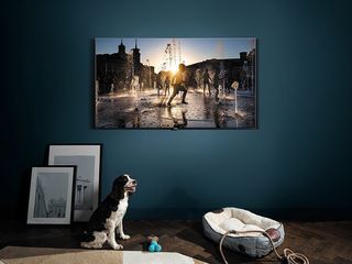 Samsung QN88Q9FAMFXZA