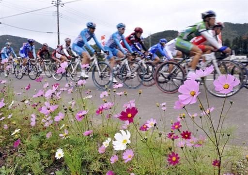 The peloton rides past wildflowers early in the Japan Cup.