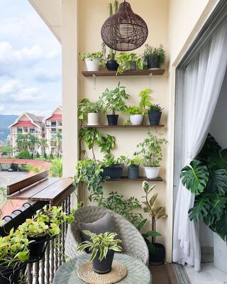 Outdoor balcony with shelves of plants