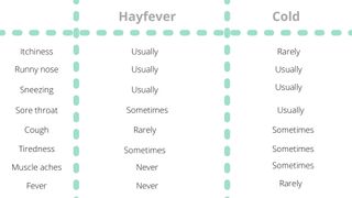 Infographic of cold or hayfever symptoms